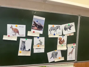 Громкие чтения в рамках проекта «Дружим с книгой»-16