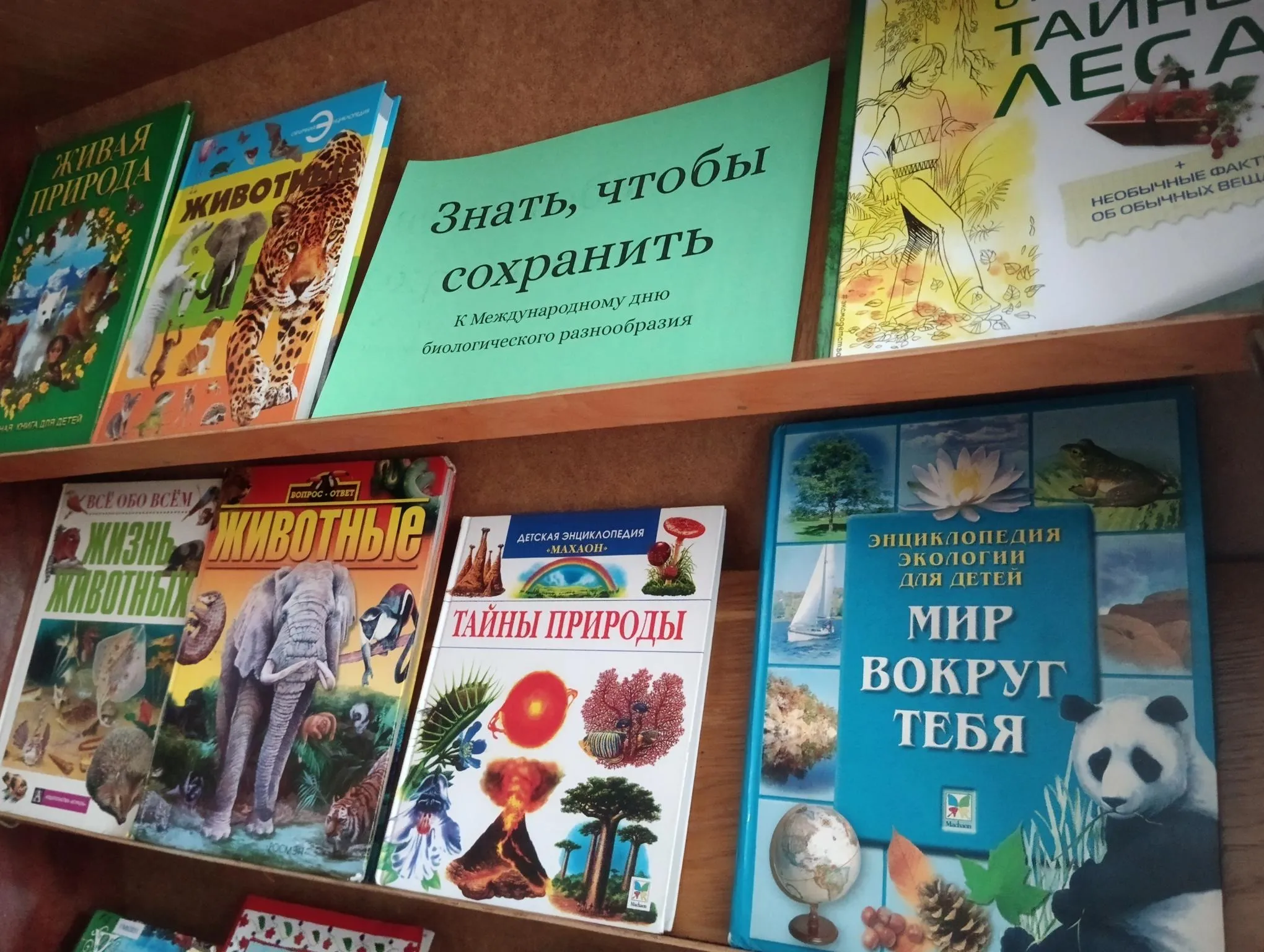 «Крынічка» – кружок для детей, неравнодушных к природе