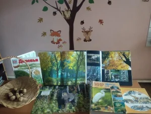 С кузовком, лукошком по лесным дорожкам-3