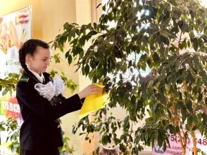 Выбери свой профессиональный путь-18