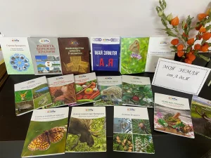 Как прекрасен книжный мир-3