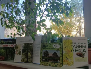 Каникулы с книгой