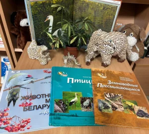 Выставка книг в библиотеке