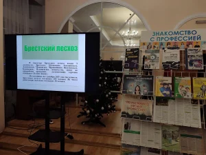 Очередная встреча в рамках проекта «Кем быть?»-12