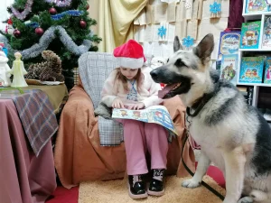 СоЧитайки готовятся к новогодним праздникам-2