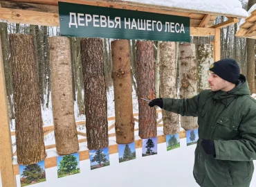 Снежными тропами Брестского лесхоза