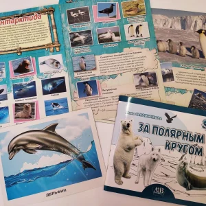 Самый таинственный континент – Антарктида