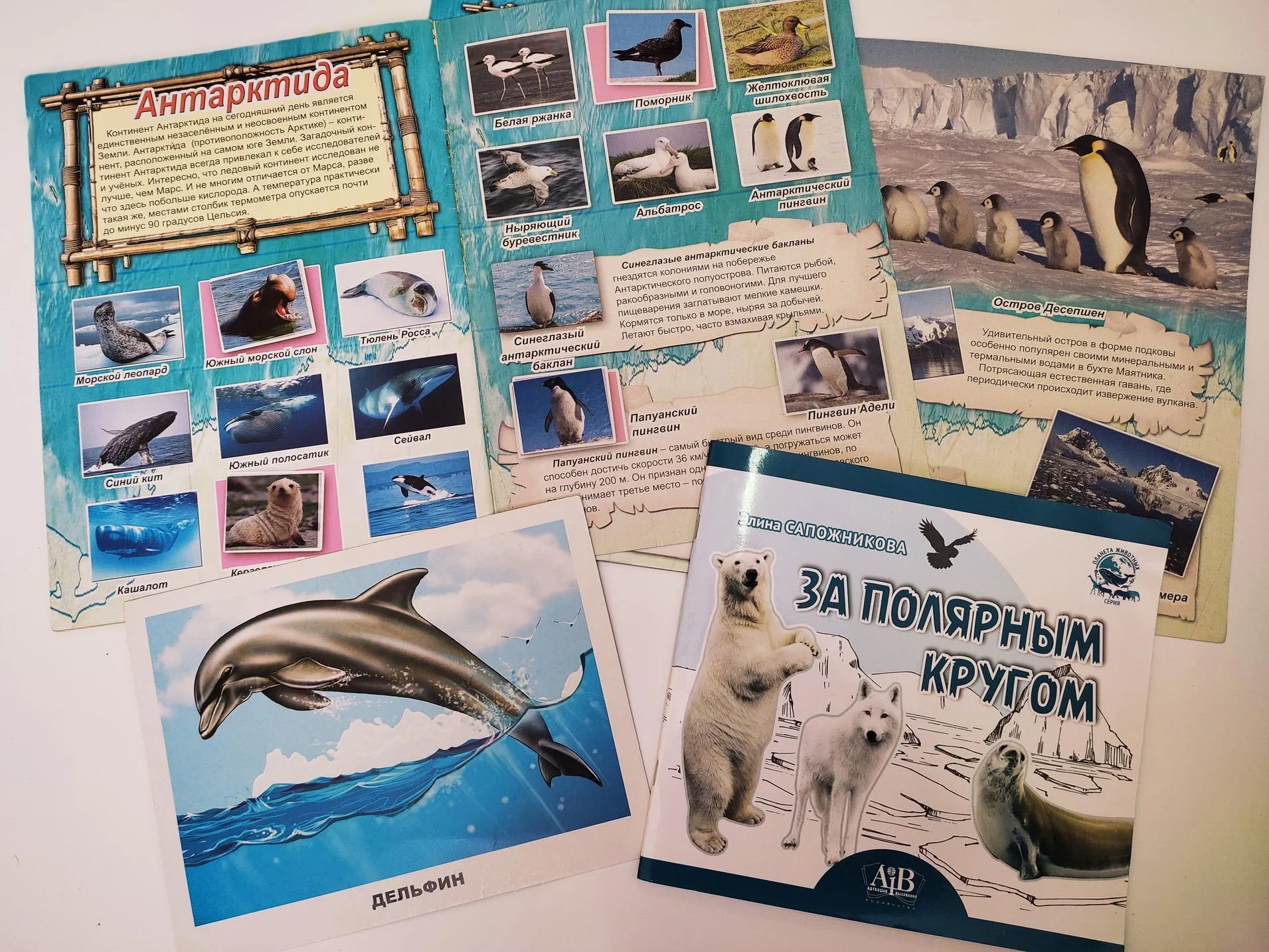 Самый таинственный континент – Антарктида