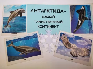 Самый таинственный континент – Антарктида-7