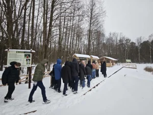 Снежными тропами Брестского лесхоза-10