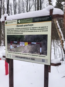 Снежными тропами Брестского лесхоза-5