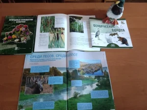 Чем уникально болото-3