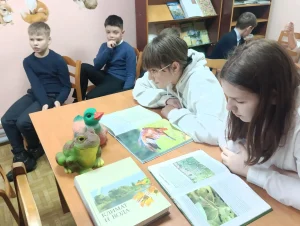 Чем уникально болото-4