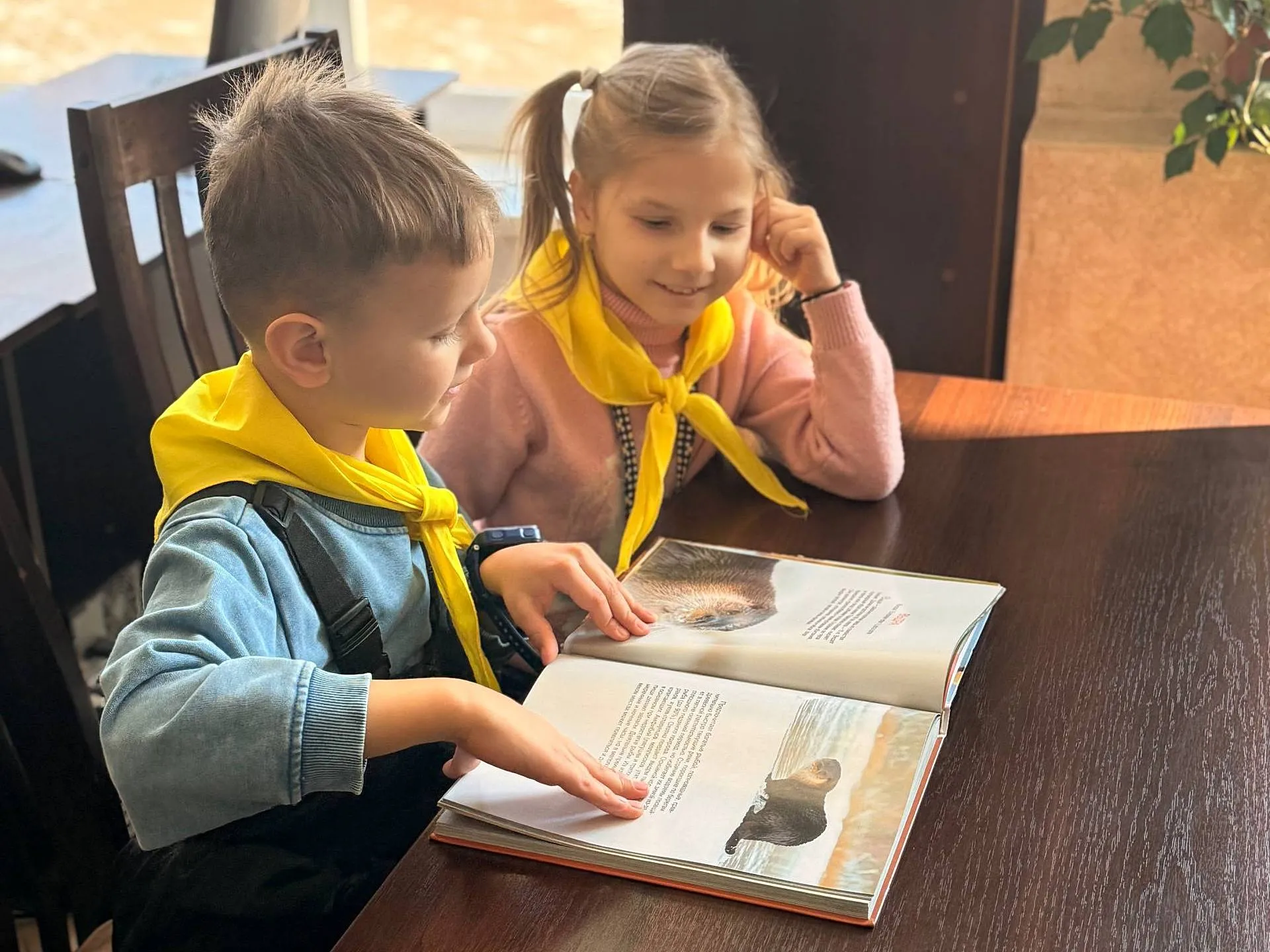 Чаму чорны бусел ад людзей хаваецца