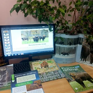 Заповедники – природные жемчужины Европы