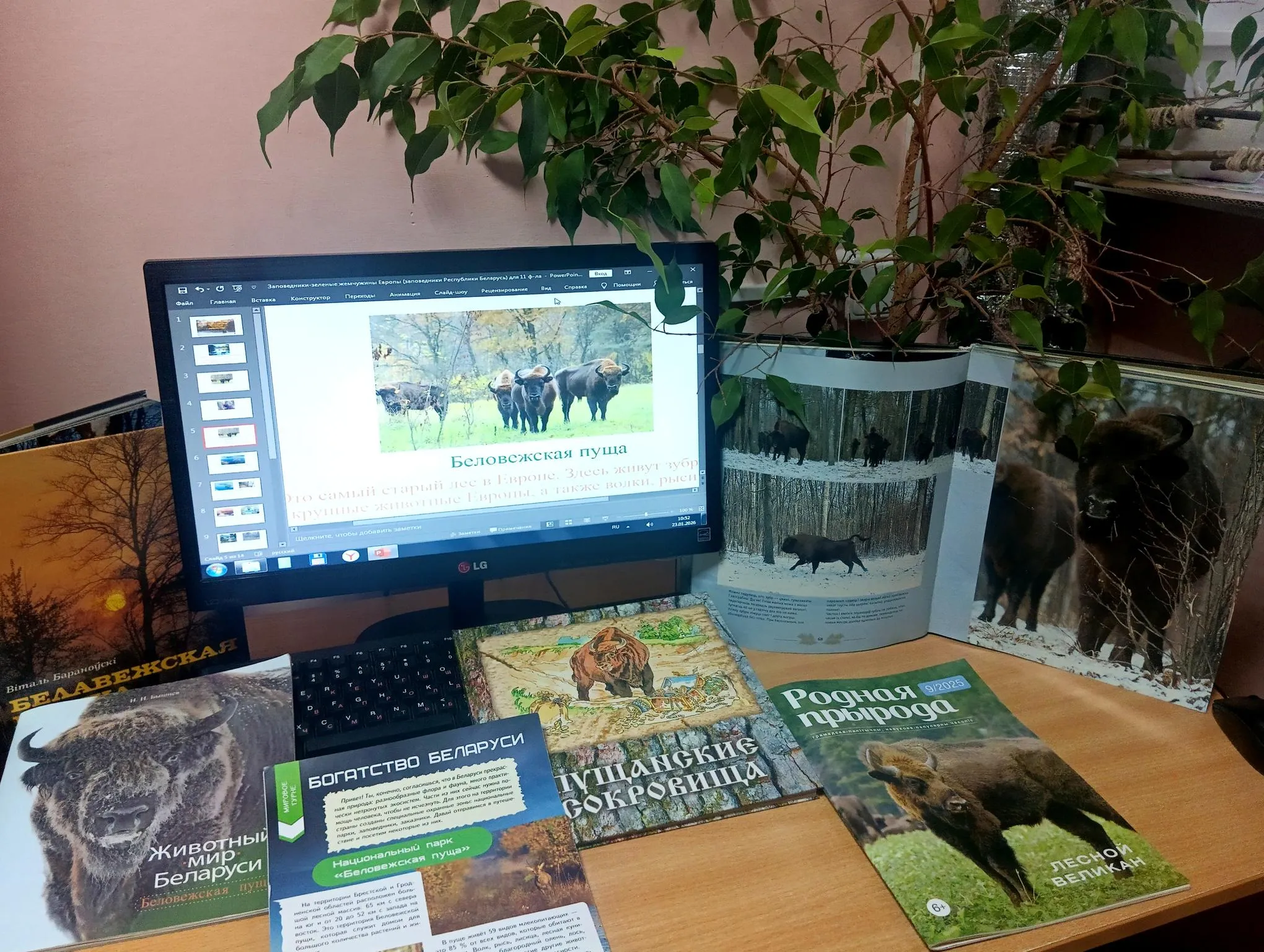 Заповедники – природные жемчужины Европы