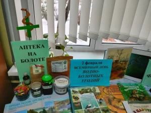 Экологический калейдоскоп «Полна природа чудесами»-3