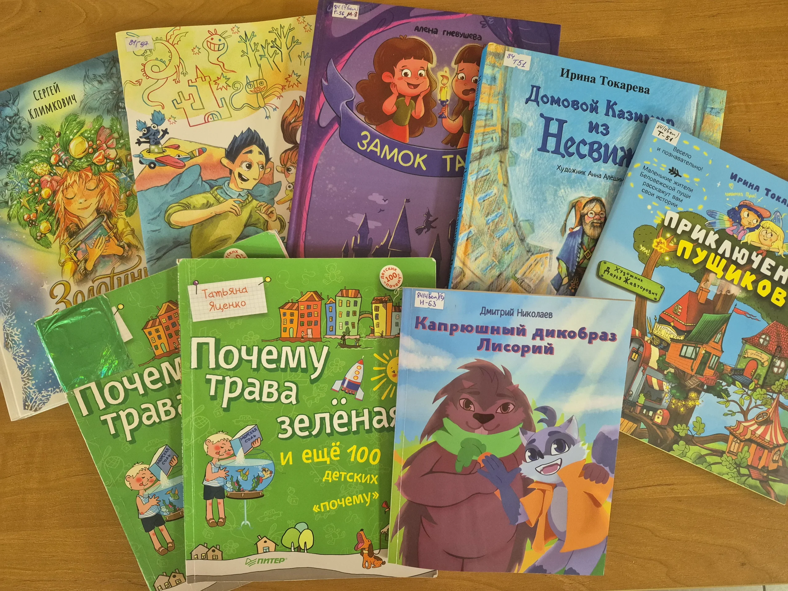 Путешествие по книге «Почему трава зелёная и ещё 100 детских «почему»»