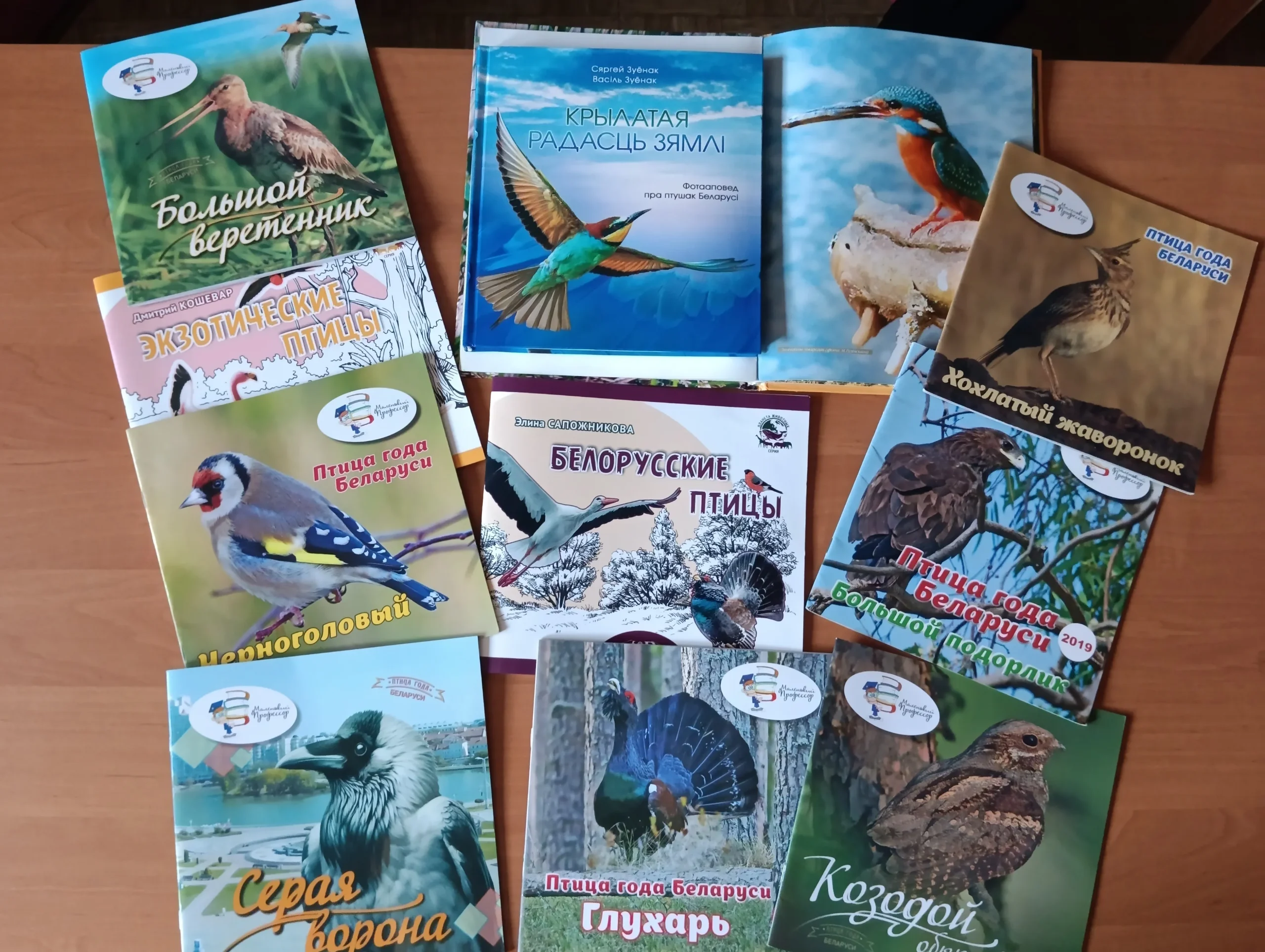 Удивительный мир птиц