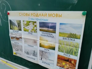 Смак роднай мовы-4