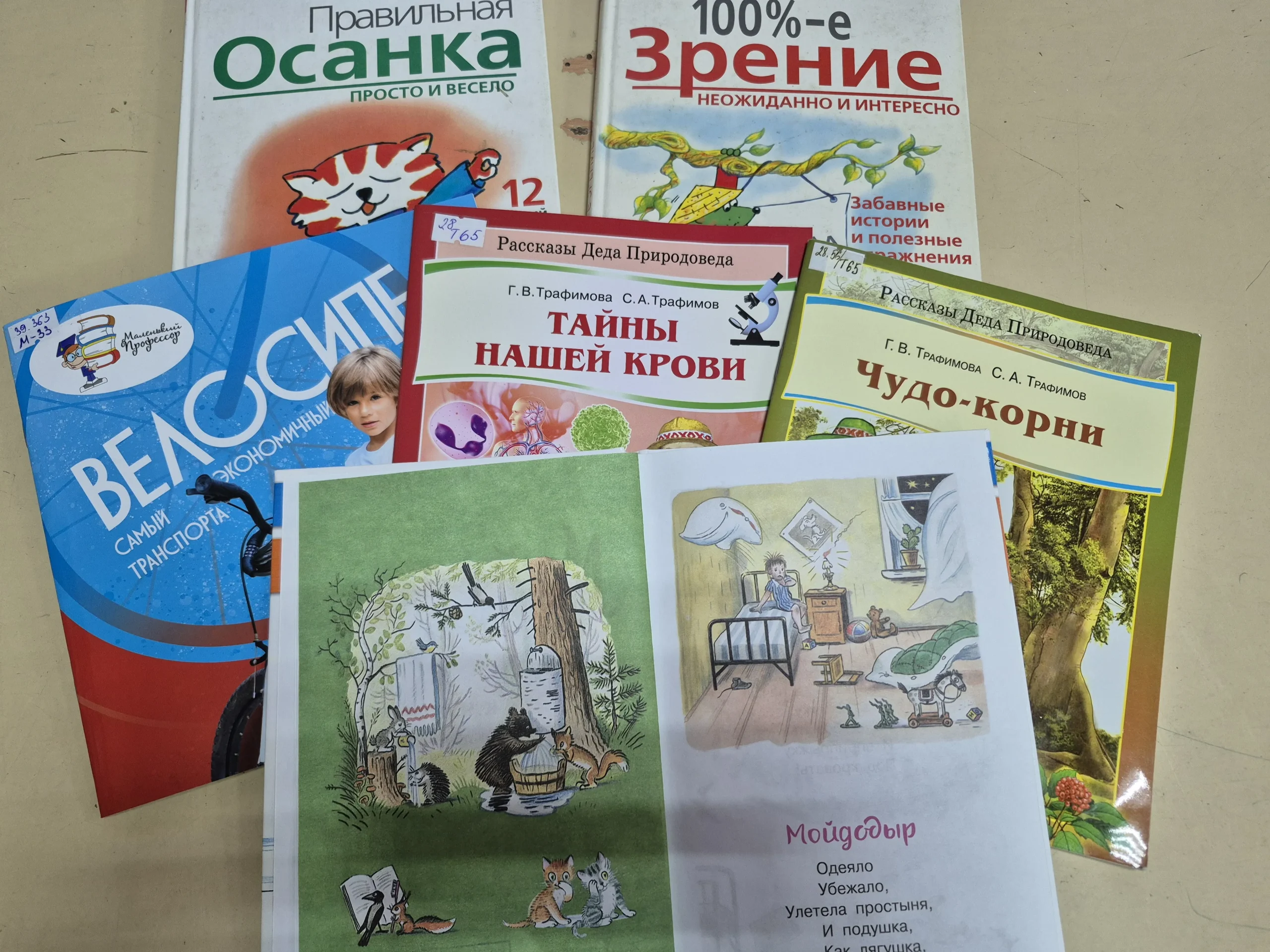 7 апреля отмечается Всемирный день здоровья