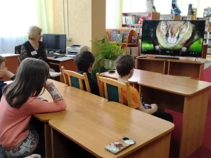 Загадочный мир летучих мышей-3