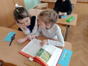 «Завушніцы для бярозкі»-2