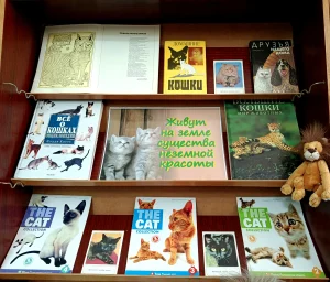 «Гуляют кошки по страницам книг»-1