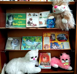 «Гуляют кошки по страницам книг»-3