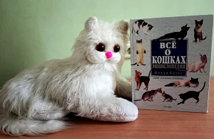 «Гуляют кошки по страницам книг»-6